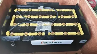 Ắc quy GS Yuasa 48V-435AH