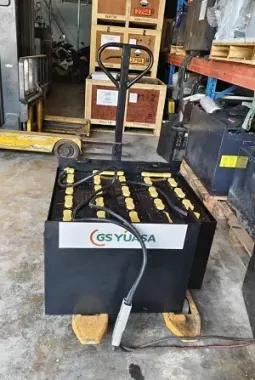 Ắc quy GS Yuasa 48V-435AH
