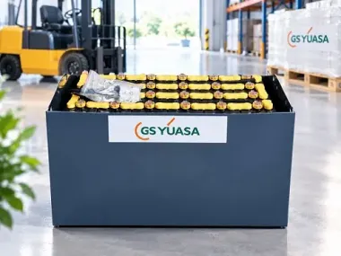 Ắc quy GS Yuasa 48V-470AH