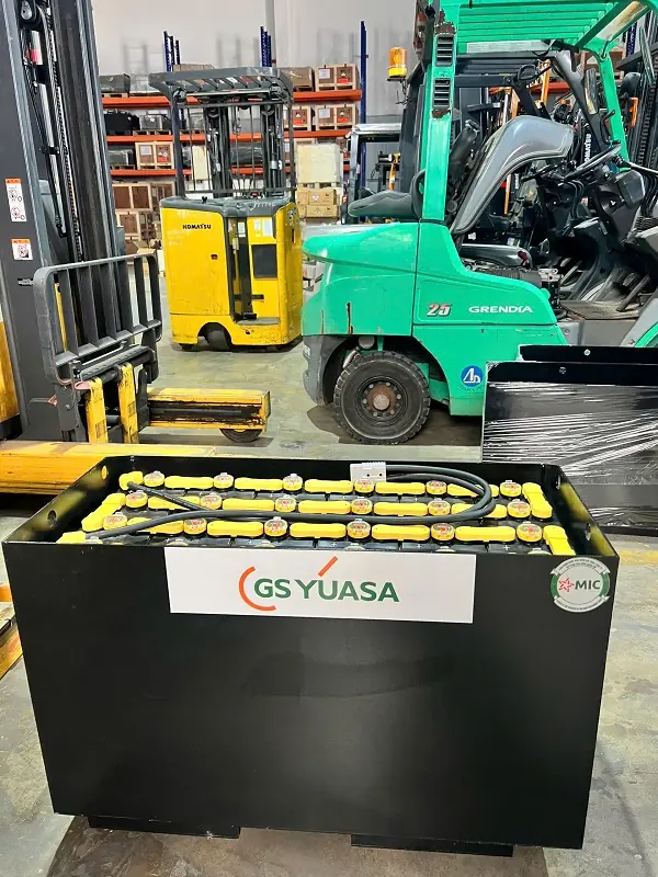 Ắc quy GS Yuasa 48V-290AH